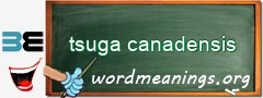 WordMeaning blackboard for tsuga canadensis